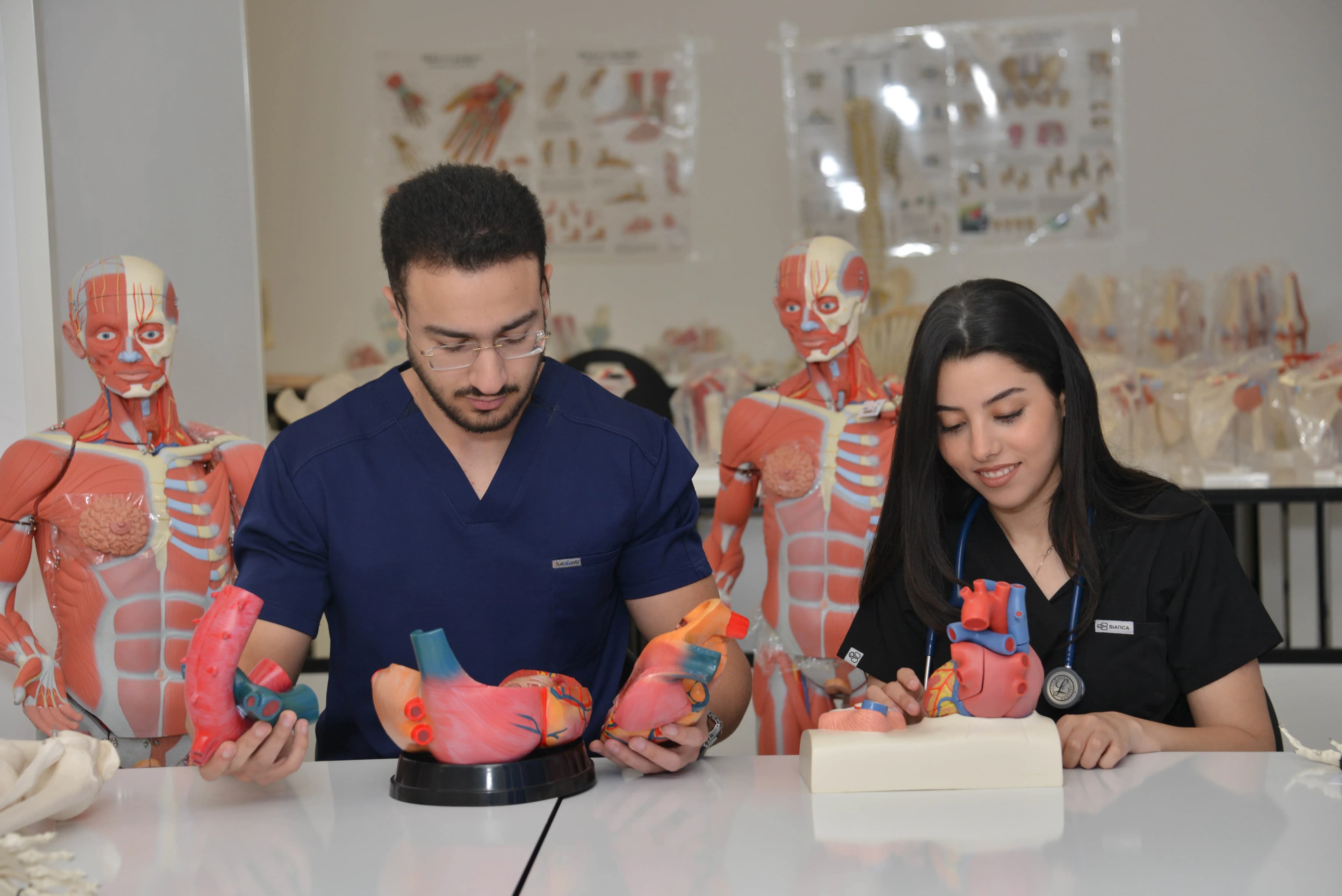 Faculté de Médecine