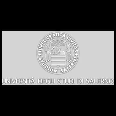 UNIVERSITÀ DEGLI STUDI DI SALERNO