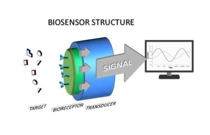 Soutenance de Thèse de Doctorat en Materials Science and Modeling par Mme. Nidal EL BIYARI