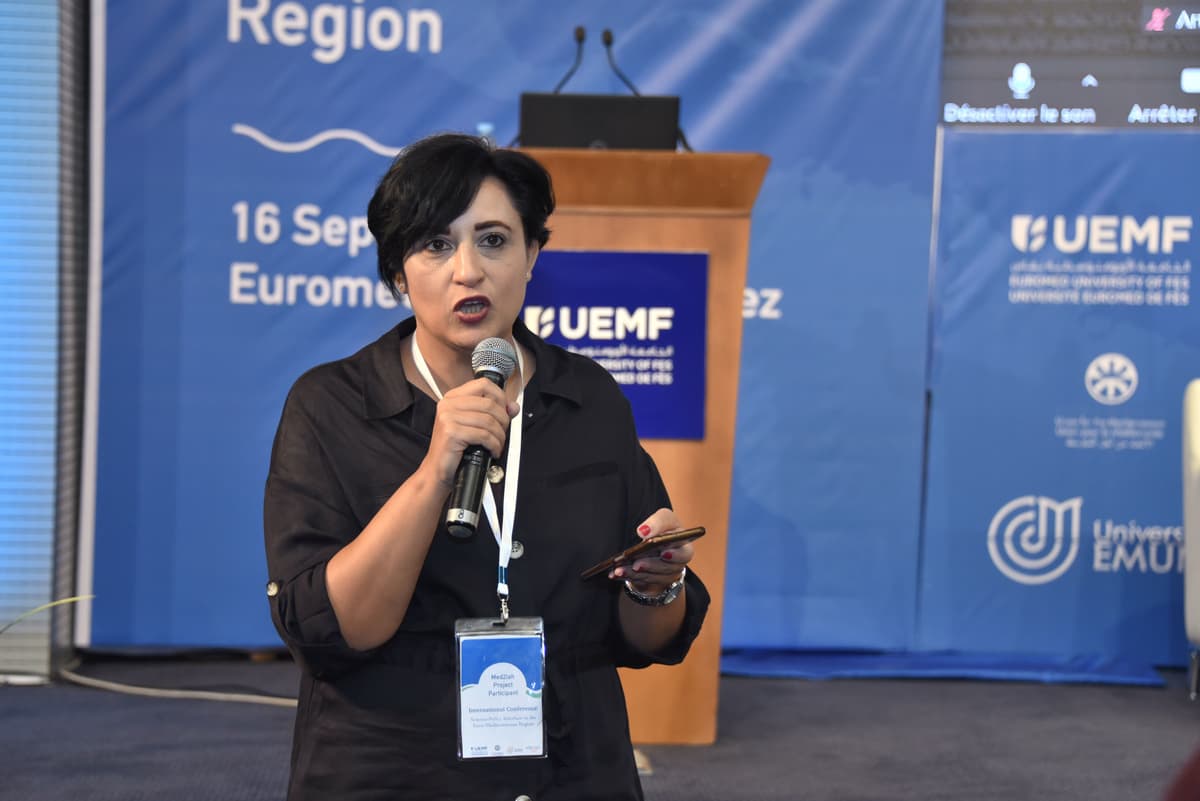 Med2IH Consortium Meetings: a look back at flagship projects in the Euromed region