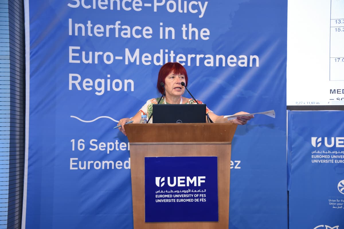 Med2IH Consortium Meetings: a look back at flagship projects in the Euromed region