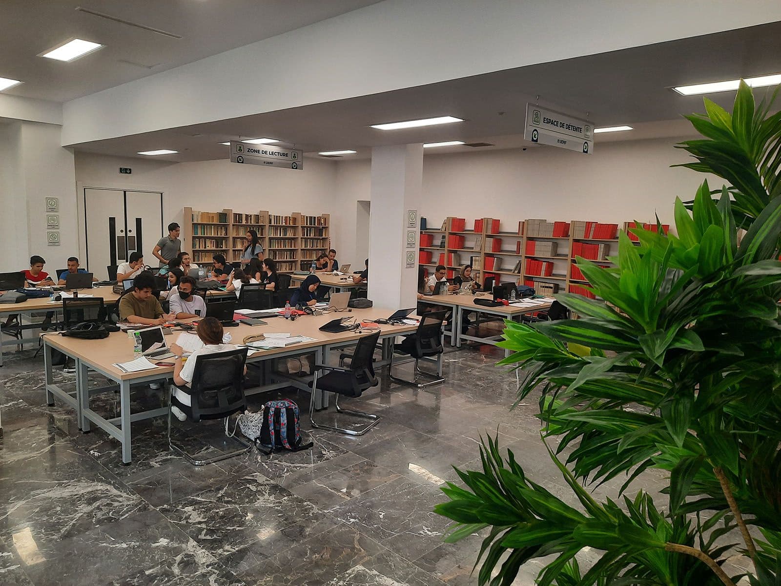 خدماتنا «الداعمة»