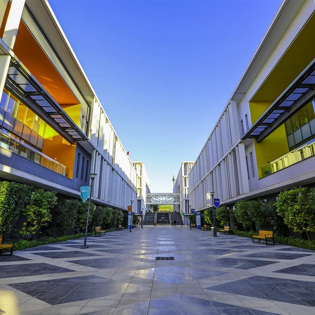 حول <span class="text-main">الجامعة</span>