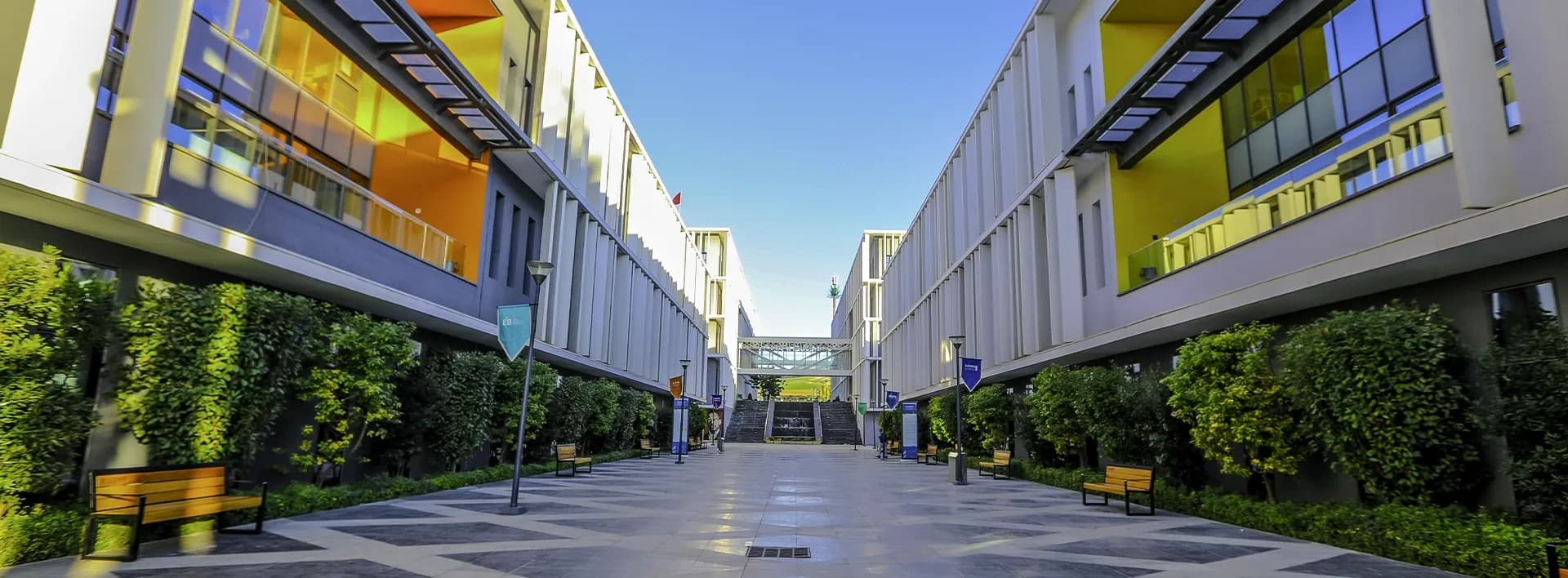 رأس المال البشري