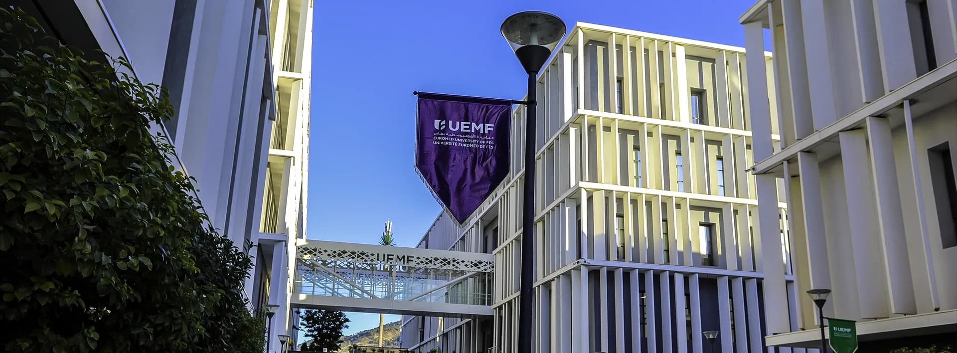 Accommodation, Transportation, Dining