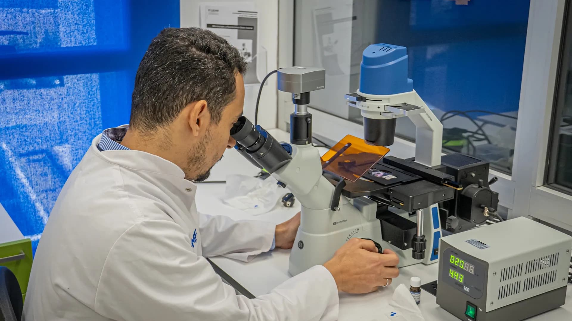 البحث في سياق العمل