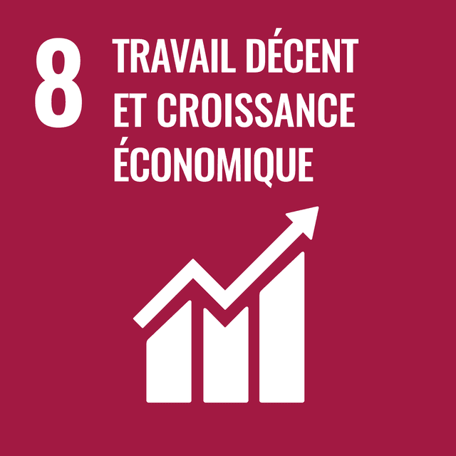 SDG 8 Report: Decent Work and Economic Growth