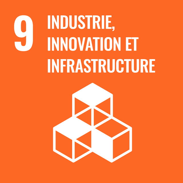 SDG 9 Report: Industry, Innovation and Infrastructure