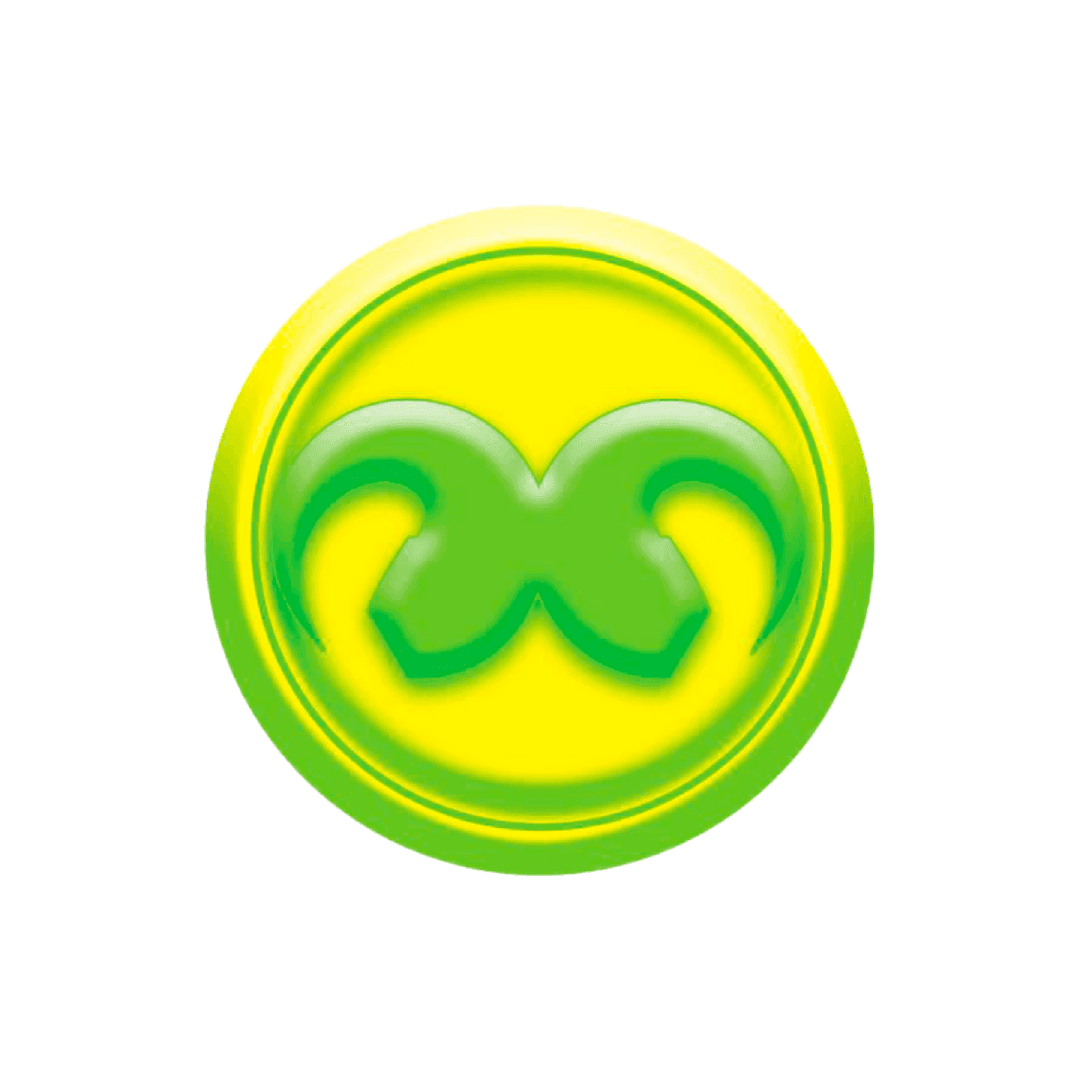 D’honneur de la Fondation Mohammed V pour la Solidarité