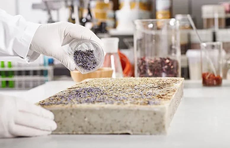 Development of Next-Generation Hybrid Biomaterials Based on MOFs and Calcium Phosphates for Orthopedic Applications