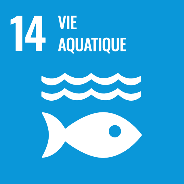 Rapport ODD 14 : Vie aquatique