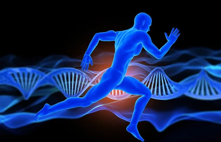 Multiomic approach to understand and model the behaviours of Sideroxylon spinosum to modulate hydric and biotic stresses