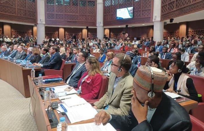 First Summit of African and Euro-Mediterranean Youth at Euromed University of Fes: Euro-Mediterranean and Transatlantic Outreach: Meeting Tomorrow's Challenges Together