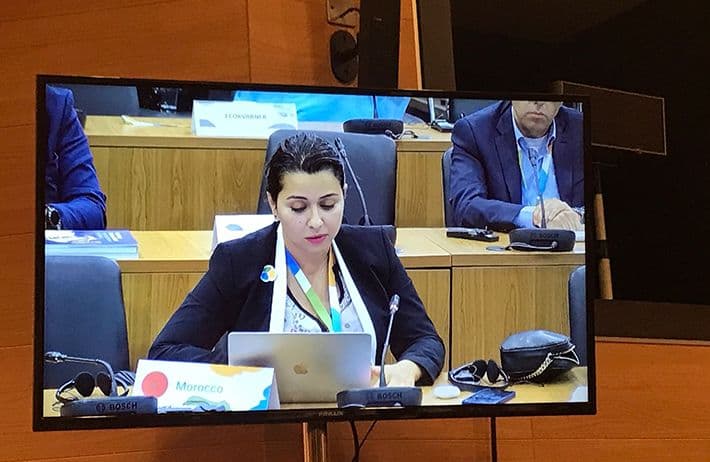 9th Ministerial Conference "Environment for Europe": Prof. Maha Gmira presents the vision of Euromed University of Fes and its commitment to achieving the SDGs