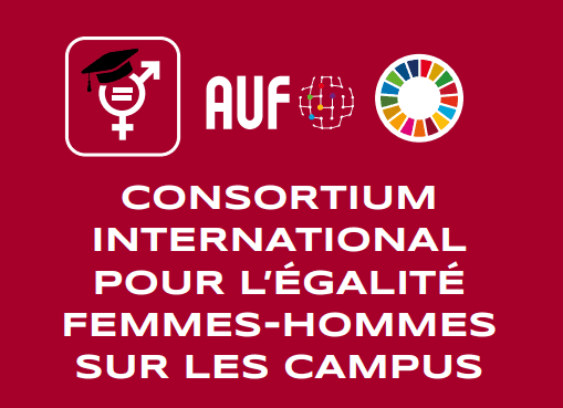 Activities and achievements that have marked the roadmap of the Women Men Equality Consortium, in which the Euromed University of Fes participates.