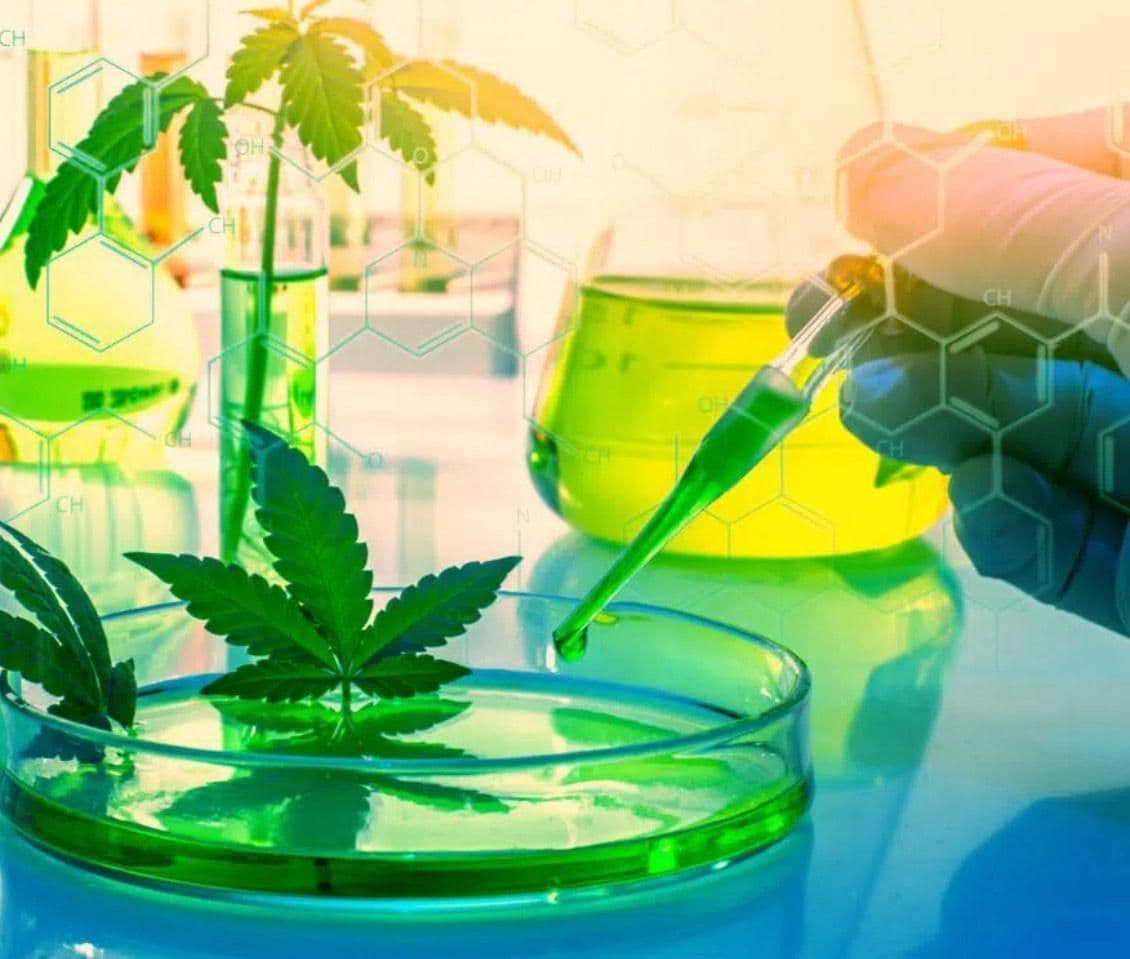 Soutenance de thèse de doctorat en Chimie par Mme. Amira METOUEKEL