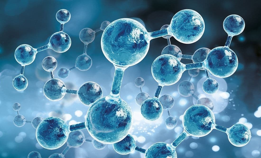 Soutenance de thèse en cotutelle par Mme. Kaltoum BAKKOUCHE