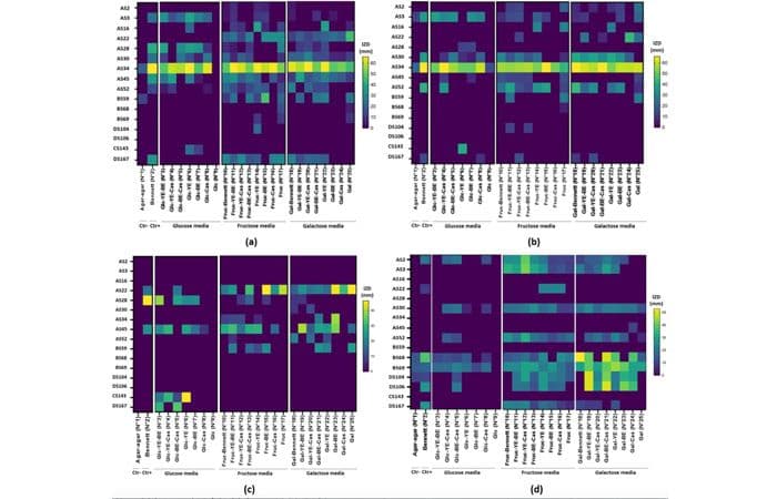 AVIS DE SOUTENANCE DE L’HABILITATION UNIVERSITAIRE