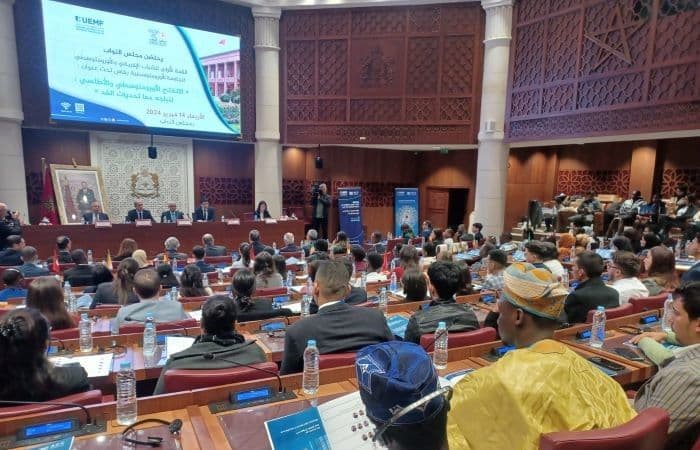 First Summit of African and Euro-Mediterranean Youth at Euromed University of Fes: Euro-Mediterranean and Transatlantic Outreach: Meeting Tomorrow's Challenges Together