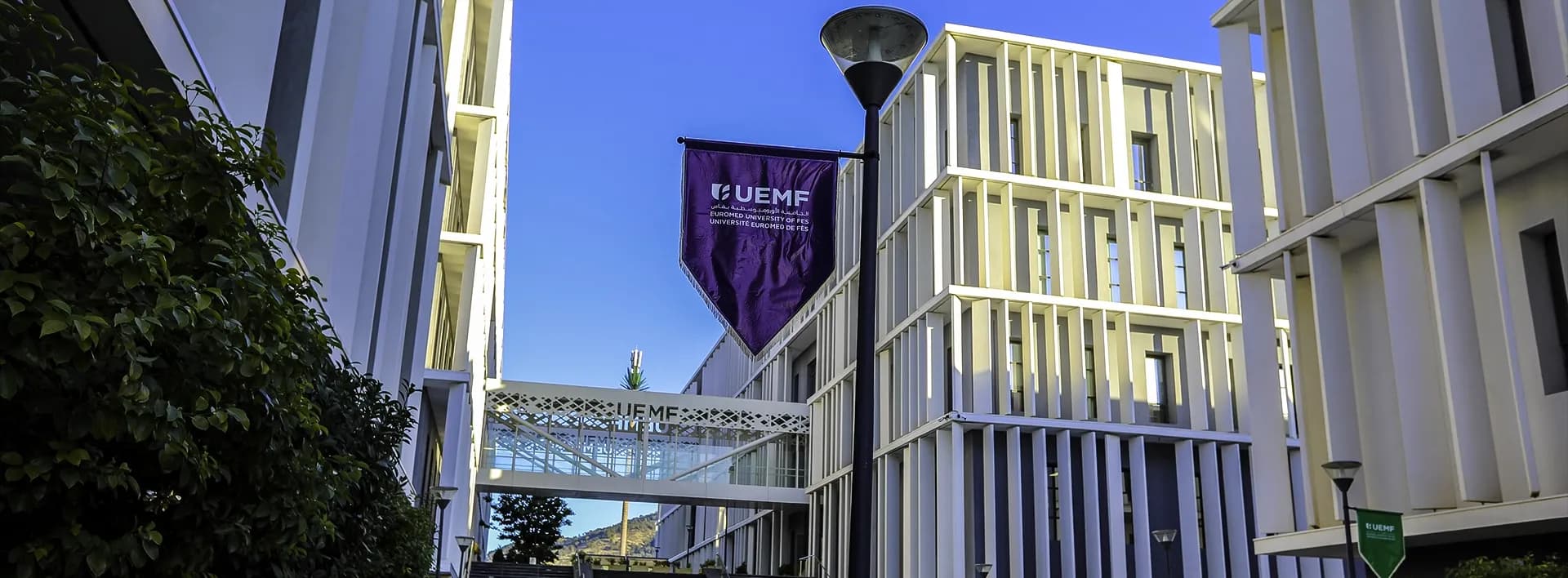 Unsolicited application