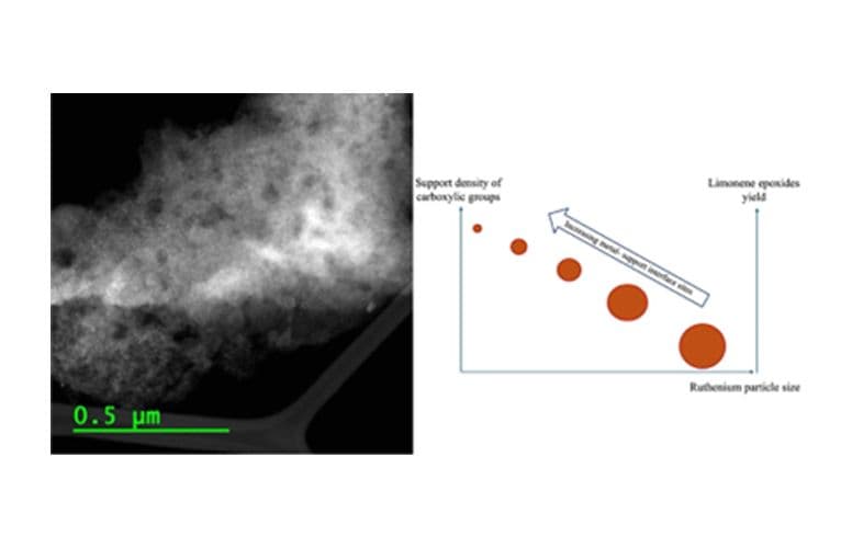 Soutenance de Thèse de Doctorat en “Materials Science” par Ms. Malak El Kaddouri