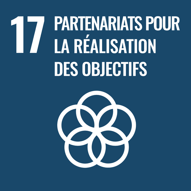 Rapport ODD 17 : Partenariat pour la réalisation des objectifs
